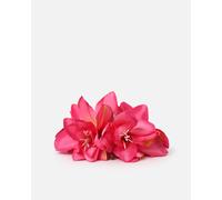 Misako Eladia pinza de pelo flor Fucsia