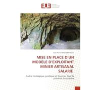 MISE EN PLACE D’UN MODÈLE D’EXPLOITANT MINIER ARTISANAL SALARIÉ: Cadre stratégique, juridique et financier Pour la province du Lualaba
