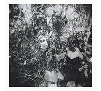 Mislock Tim - Now Is the Last Beat Time [Vinilo]