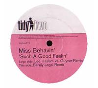 Miss Behavin - Such a Good Feelin' [Import]