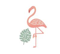 MISS KUTY Troquel fino ZAG Infantil flamenco con hoja 2u. Para cortar papel, cartulina, goma EVA y hojas de aluminio para proyectos de tarjetería, scrapbooking y manualidades