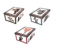 MISS SPACE Baúl gatos variados 52 x 40 x 25 7037