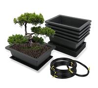 MissFox Macetas de Entrenamiento para Bonsái con Bandejas de Paquete de 6, Maceta Bonsai Rectangular de Plástico con Alambre de 1.5/2/3 mm para Plantas de Interior/Exterior, 23 x 17 x 8 cm