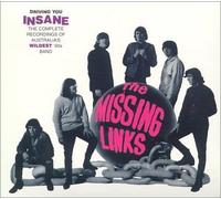 Missing Link - Driving You Insane