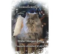 Mister Morgan Grey: cinquanta sfumature di micio