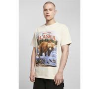 Mister Tee Alaska Vintage Extra Grande Camiseta Top Ee.uu. Desierto Hombre