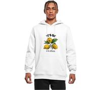 Mister Tee MT3060-It's Ok Hoodie Hooded Sweatshirt, White, L Men's
