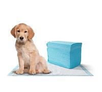 MISTER ZOO - Empapadores para Perros con Superficie de Secado rápido, Almohadillas absorbentes para adiestramiento de Mascotas y Cachorros a Prueba de Fugas. Tamaño XL (90 x 60 cm)