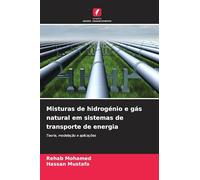 Misturas de hidrogénio e gás natural em sistemas de transporte de energia: Teoria, modelação e aplicações