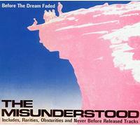 Misunderstood - Before The Dream Faded