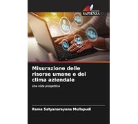 Misurazione delle risorse umane e del clima aziendale: Una vista prospettica