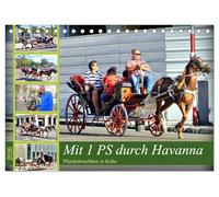 Mit 1 PS durch Havanna - Pferdedroschken in Kuba (Tischkalender 2026 DIN A5 quer), CALVENDO Monatskalender: Pferdedroschken in der Altstadt von Havanna