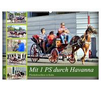 Mit 1 PS durch Havanna - Pferdedroschken in Kuba (Wandkalender 2026 DIN A2 quer), CALVENDO Monatskalender: Pferdedroschken in der Altstadt von Havanna