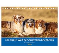 Mit Aussies unterwegs - Die bunte Welt der Australian Shepherds (Tischkalender 2026 DIN A5 quer), CALVENDO Monatskalender: Ein Kalender der bunten ... Australian Shepherd in Action und im Portrait