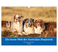 Mit Aussies unterwegs - Die bunte Welt der Australian Shepherds (Wandkalender 2026 DIN A3 quer), CALVENDO Monatskalender: Ein Kalender der bunten ... Australian Shepherd in Action und im Portrait