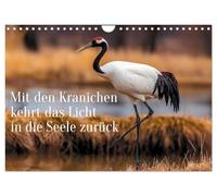 Mit den Kranichen kehrt das Licht in die Seele zurück (Wandkalender 2027 DIN A4 quer), CALVENDO Monatskalender: Atmosphärische Kranichbilder zwischen Himmel, Weite und Licht