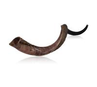 Mitad pulido medio natural Kudu cuerno Shofar