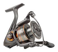 Mitchell Carrete de Pesca Mitchell MX2, Carretes giratorios, Pesca de Depredadores, Trucha, Lubina y lucioperca, Unisex, Negro, 3000, Freno Delantero