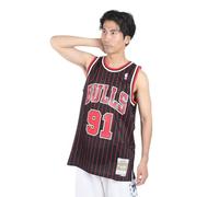 Mitchell & Ness Jersey de malla Swingman Chicago Bulls 1995-96 Dennis Rodman, Negro , L