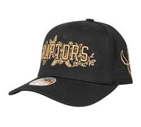 Mitchell & Ness Snapback Stretch Cap - Haze Toronto Raptors