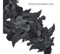 Mitochondrial Sun Mitochondrial Sun (Vinyl) 12" Album