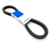 Mitsuboshi Correa de dientes laterales dobles