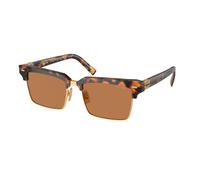 Miu Miu Mujer MU 10ZS 19P2Z1 Gafas de sol Acetato Tortuga Marrón Cuadrada Normal