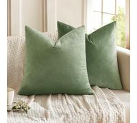 MIULEE Funda Cojines de Terciopelo para Sofa Suave Fundas de Almohada de Cama Silla Color Solido Cremallera Oculta Decoración para Sala de Estar Dormitorio Habitacion 2 Piezas 45x45cm Verde Judía