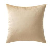 MIULEE Terciopelo Funda de Cojine Funda de Almohada del Sofá Throw Cojín Decoración Almohada Caso de la Cubierta Decorativopara Sala de Estar 60 x 60cm 24 x 24 Pulgadas 1 Pieza Beige