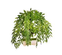 MIUYTRN Sauce llorón Artificial de 26cm, Palmera Tropical en Maceta, Mini Plantas bonsái de Escritorio, árbol de Pino Artificial, Hojas de plástico for el hogar y la Oficina cuicui