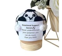 mivceklw Crochet Present, Motivational Support Toy, Inspirational Quote Decor, Soft Plush Ball, Motivational Message Accessory, Small Size for Home Office Desk or Classroom, 1.57 Inches