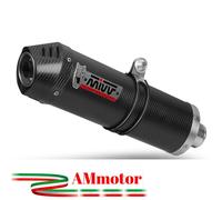 MIVV Silenciador de escape BMW R 1200 GS 2010-2012 Oval carbono Carbon Cap