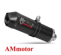 ESCAPE MIVV OVAL CARBONO CON TAPA DE CARBONO SUZUKI GSX-R 1000 '05-'06 S.016.LEC