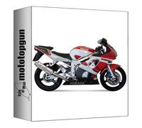 mivv tubo de escape homologado cat-oem oval acero compatible con yamaha yzf 600 r6 1999 2000 2001 2002 mototopgun