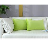 mixeoo Cómodas fundas de almohada decorativas de color verde lima, rectangulares, de terciopelo grueso, súper suaves, decoración del hogar para sofá, sala de estar, silla, juego de 2, 12 x 20 pulgadas