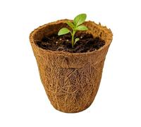 Mixnexorad Macetas para Jardinería,Bandeja con Plántulas Y Maceta Diseño Palmera | Macetas de Inicio - para Jardinería De Interior, De Exterior, Vivero, Invernadero, Patio, Porche, Aire