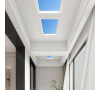 Mixtric Luz Techo Inteligente Tuya Blue Sky, Luz Techo con Luz Natural, InstalacióN con Luz Natural SóTanos, Cocinas, Dormitorios, Salas Estar, VestíBulos Hoteles, Pasillos, Luz Techo Led,30 * 60cm