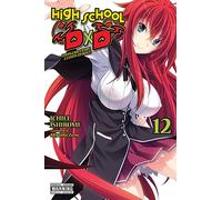 Miyama, Zero - High School DxD, Vol. 12 (light novel): Volume 12 (HIGH SCHOOL DXD LIGHT NOVEL SC)