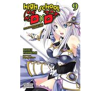 Miyama, Zero - High School DxD, Vol. 9 (light novel): Pandemonium on the School Trip (HIGH SCHOOL DXD LIGHT NOVEL SC)