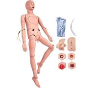 MIZHENG 170cm Modelo Anatómico Humano Enfermería Simulador Multifuncional Atención Al Paciente Maniquí De Enfermería De Primeros Auxilios De PVC con Módulo Escaras Módulo Traumatología