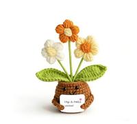 Mizijia Regalos para mamá - Juego de flores de crochet hecho a mano con tarjeta, flores en maceta, regalo personalizado de amor para mujeres (flor pequeña)