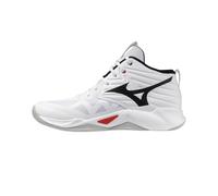 Mizuno Wave Momentum PRO