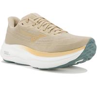 Mizuno Wave Sky 9 41 Beige