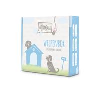 MjAMjAM - caja de cachorros