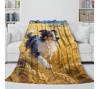 MJASVNDFO Border Collie Manta Suave - Cobija Regalo Cumpleaños para Esposo Novio Novia Vecino - Manta De Moda Que Iluminan La Habitación con Colores Vivos 80x90inch(200x230cm)