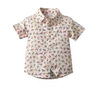 Mjjsk Camisas hawaianas con botones para niños, camisa de manga corta para niños, diseño de árbol de coco tropical, camisas divertidas, floral, playa, vacaciones, verano, A21, beige, 8-9 años