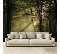 MKBKLI Mural de pared panorámico 3D personalizado no tejido con foto del bosque de la mañana, 350 x 256 cm, impresión artística cálida para sala de estar, dormitorio, telón de fondo de TV, decoración