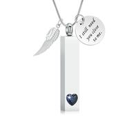 MKJFRLLSA Collar de urna de Bar para Cenizas Joyería de cremación de Acero Inoxidable Colgante de Recuerdo Pérdida de un ser Querido