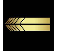 MKWGZPGW 1 Par Bricolaje Coche Lateral Pegatina Impermeable para KIA SPORTAGE hev 2020-2022, Espejo Retrovisor Adhesivos Rayas, Decorar Accesorios,Gold