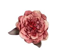 Mllepjdh Abrazaderas de plástico para atrapar accesorios para niñas y mujeres, suministro de flores, como se describe